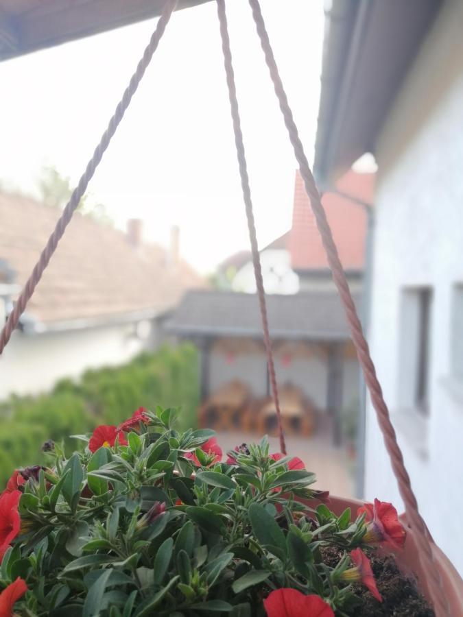 Susanna Vendeghaz Hotel Siófok Exterior foto